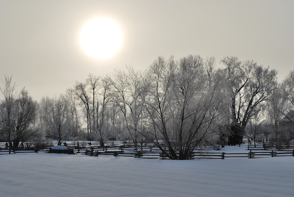 A field in winter with the sun rising over frost-covered trees
